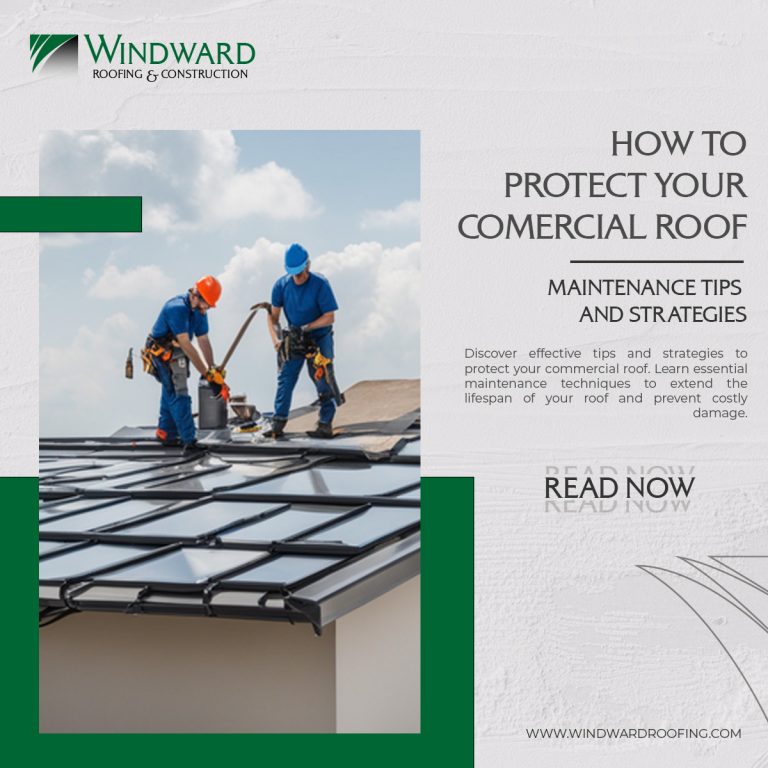 Protect your commercial roof